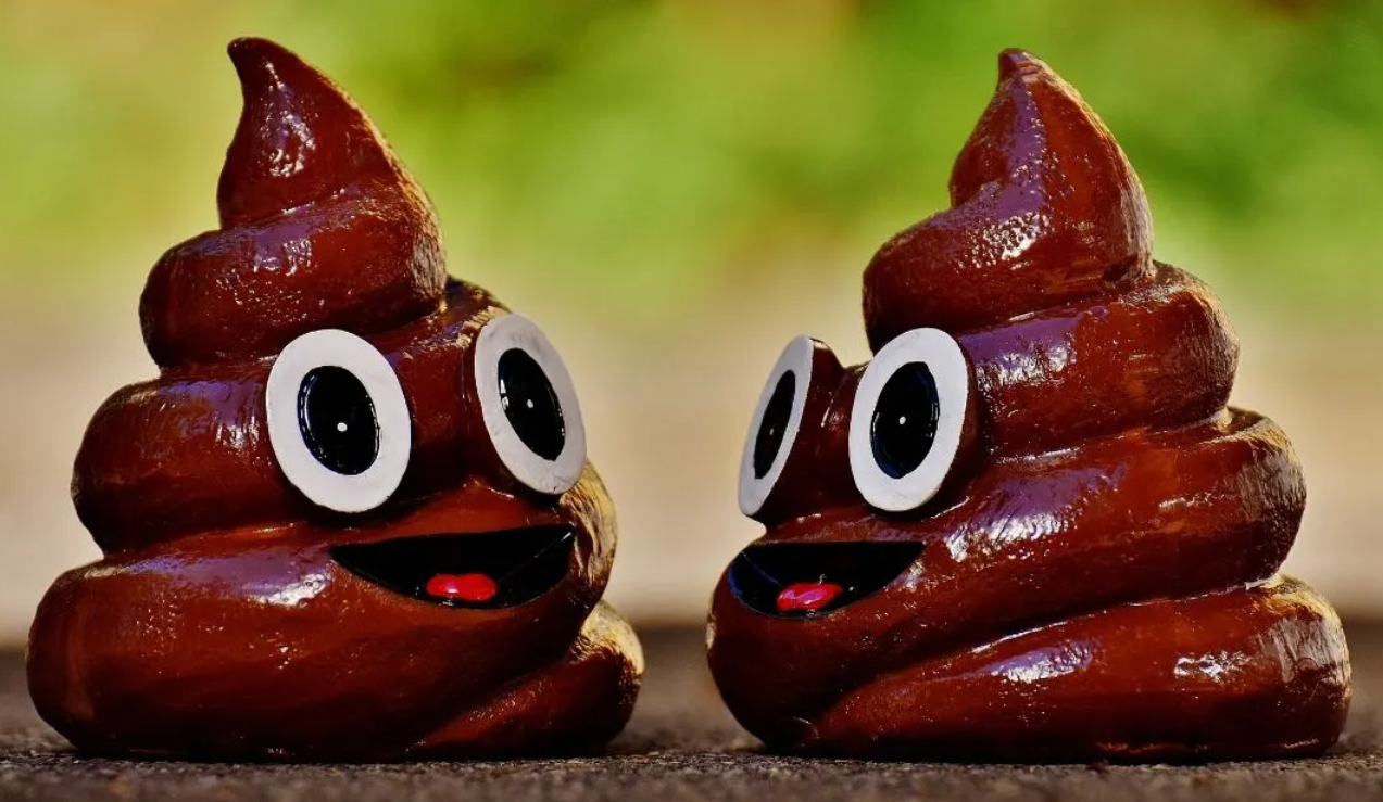 똥 싸는 꿈, 똥 밟는 꿈 해몽: 로또 당첨 대박 꿈일까? 상황별 풀이 20선