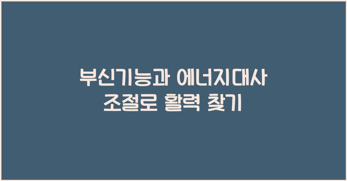 부신기능, 에너지대사 조절