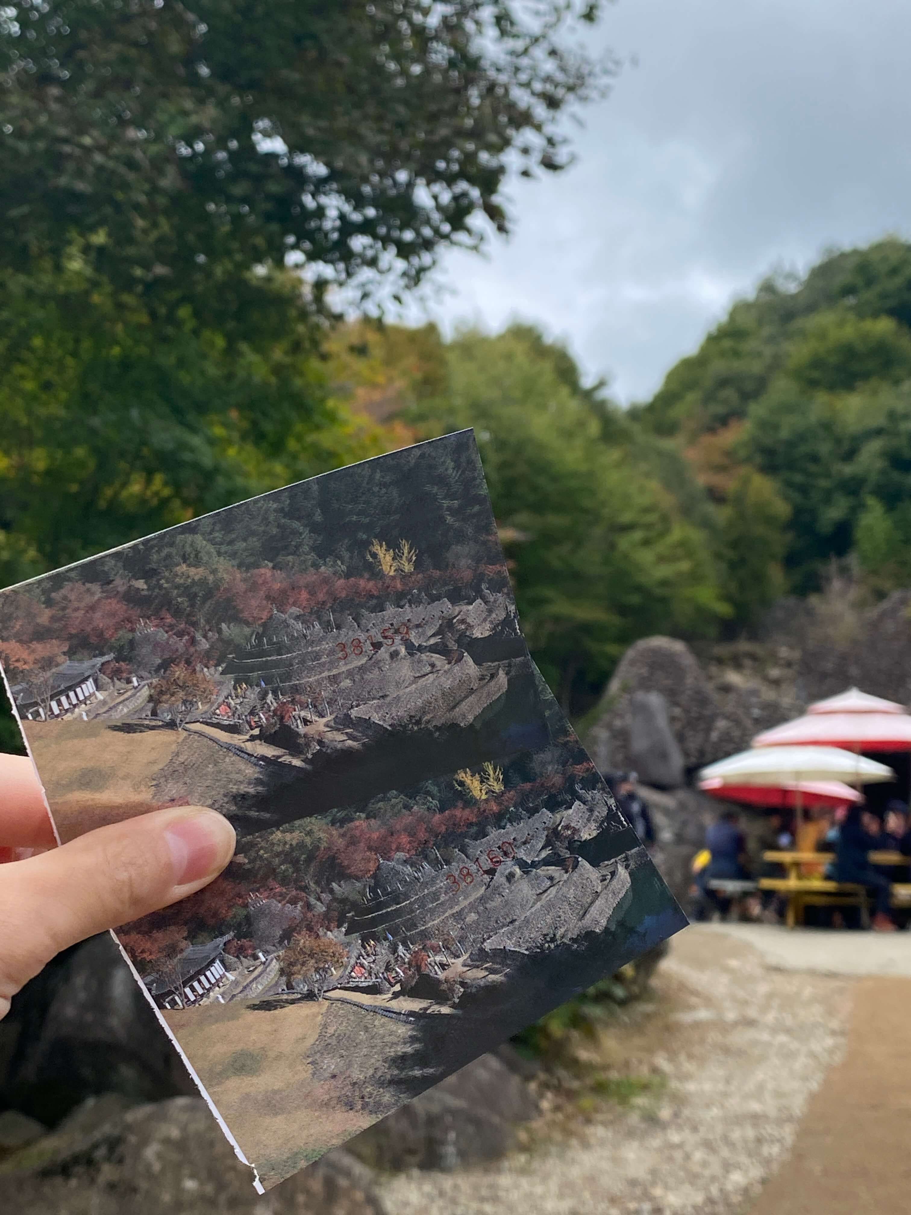 하동 삼성궁 가는길 입장료 단풍구경 근처 가볼만한곳 사진찍는곳 추천/카페 파전 막걸리 