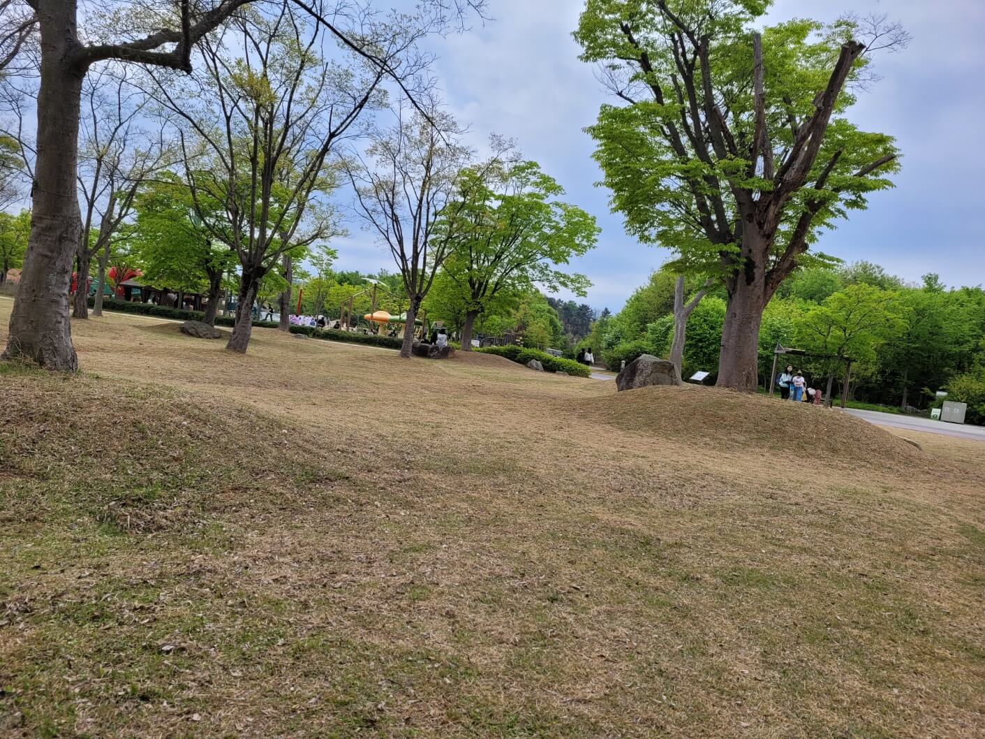 하다람 놀이터 근처 잔디밭