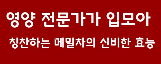 영양 전문가가 입모아 칭찬하는 메밀차의 신비한 효능