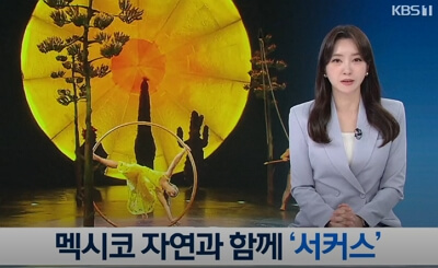 태양의 서커스 루치아 서울 예매