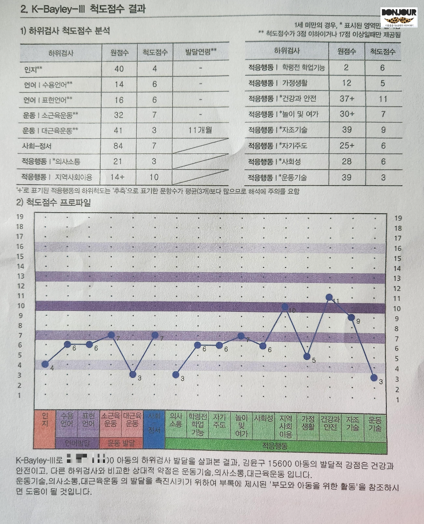 베일리 영유아 발달검사 소근육 대근육 언어 영역별 세부 척도 점수표