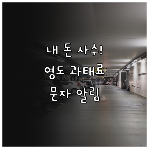 부산 영도구 불법 주정차 과태료 방지..