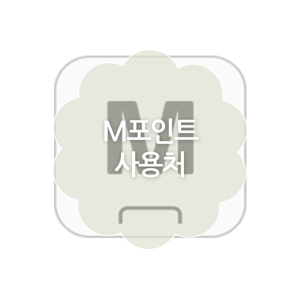 현대카드 M포인트 사용처