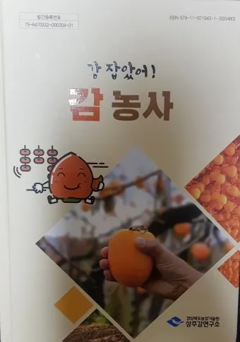 감 재배 탄저병 방제 가지 치기 저장 요령_13