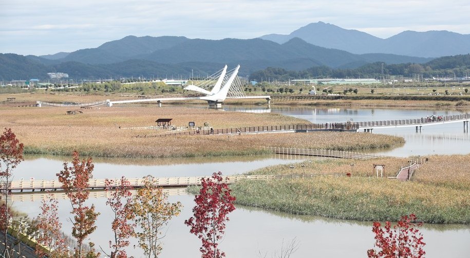 2025강진만 춤추는 갈대축제 기간&amp;#44;야경&amp;#44;체험