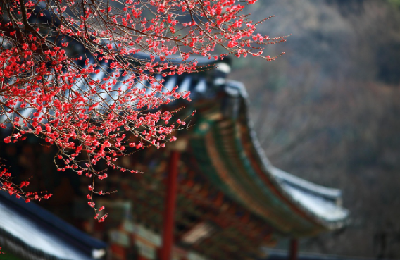 마을 해설사와 함께하는 지역 문화유산 여행