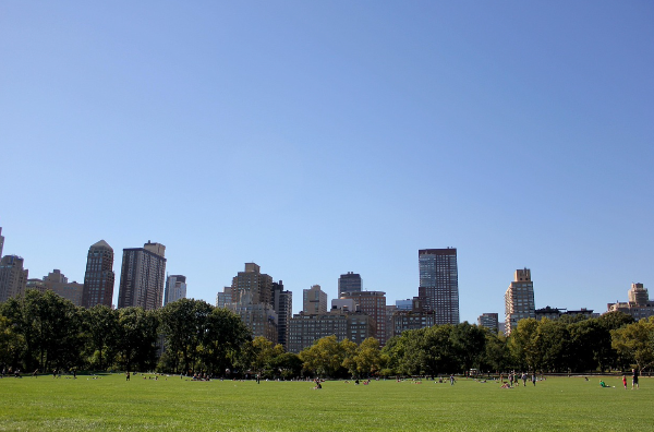 지금 당장 떠날 수 있는 무료 여행지! 돈 안 들고도 즐길 수 있는 세계 명소