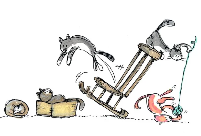 고양이 행동과 심리, 당신의 고양이는 무슨 생각을 할까?