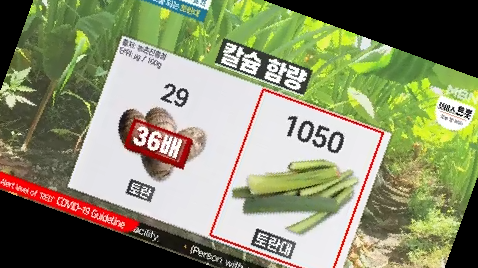 토란대 삶는 법 독성