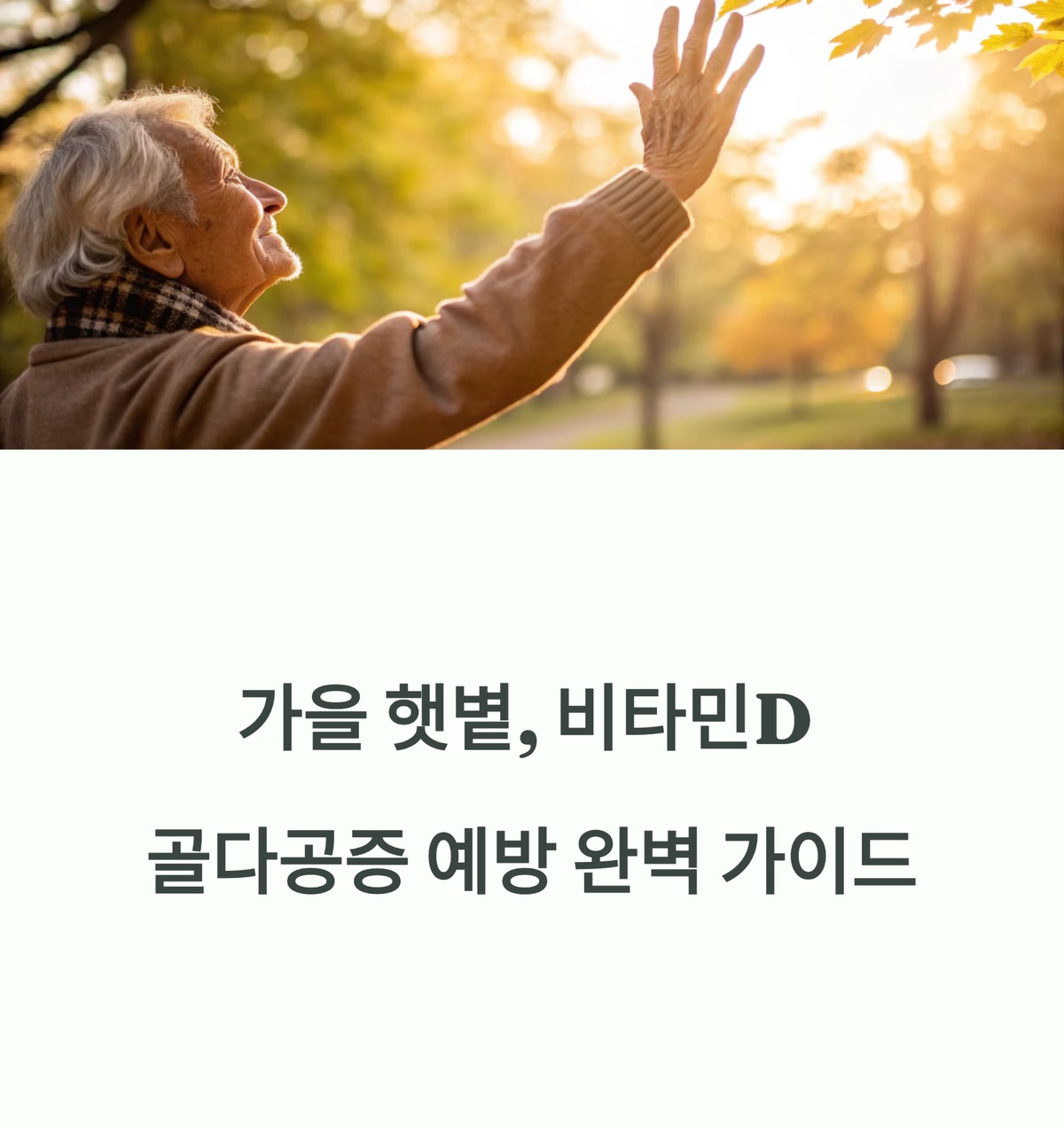 가을 햇볕과 비타민D, 골다공증 예방 가이드 대표 이미지