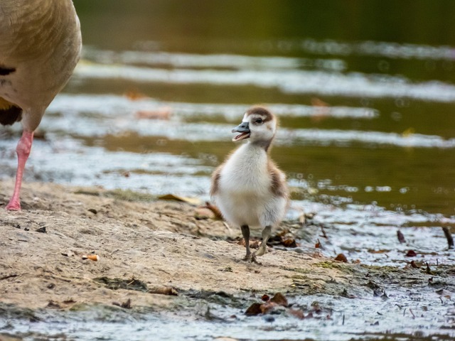 감정이 스며드는 날의 흐름: 일상 속 감정 몰입 패턴을 관찰하며 얻은 개인적 통찰