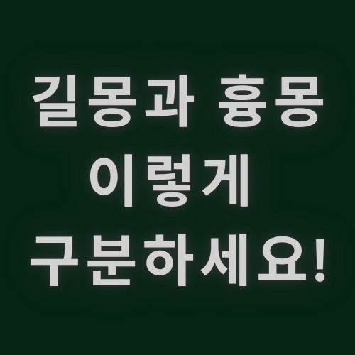 길몽과 흉몽, 이렇게 구분하세요!