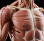왼쪽 가슴 통증 원인