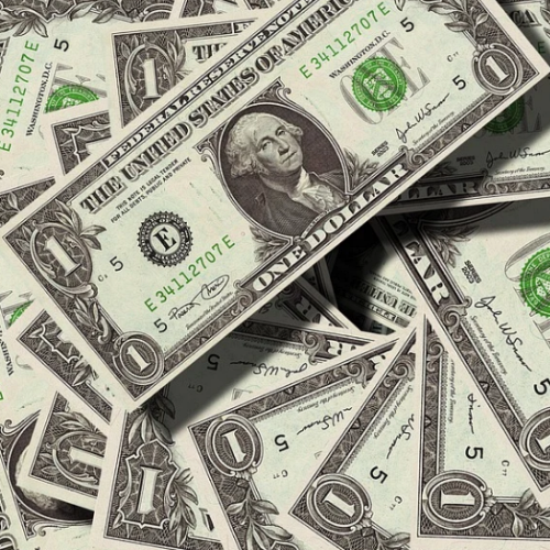 입국심사 영어 현금 질문