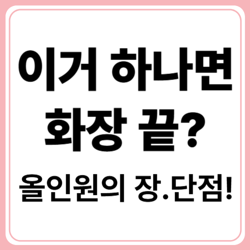 올인원 메이크업! 알고 쓰면 더 좋은 5가지 장점과 단점