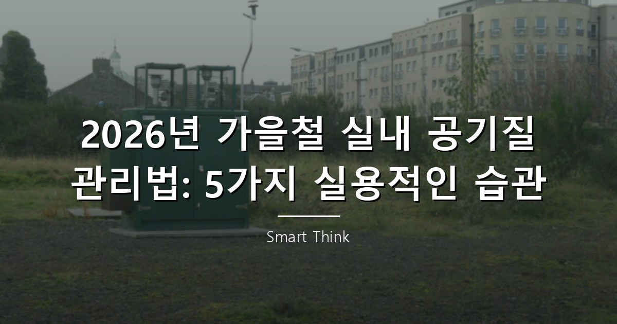 2026년 가을철 실내 공기질 관리법: 5가지 실용적인 습관