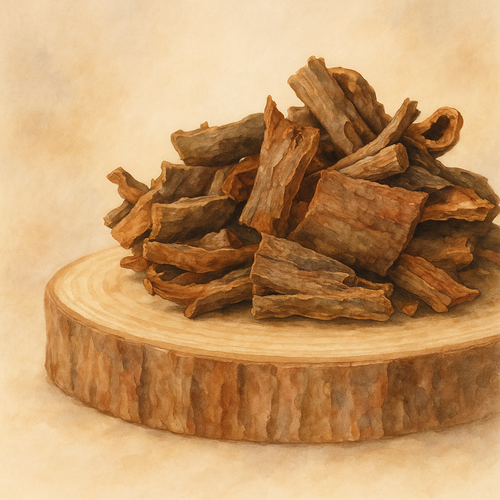 느릅나무껍질-섭취-주의할점