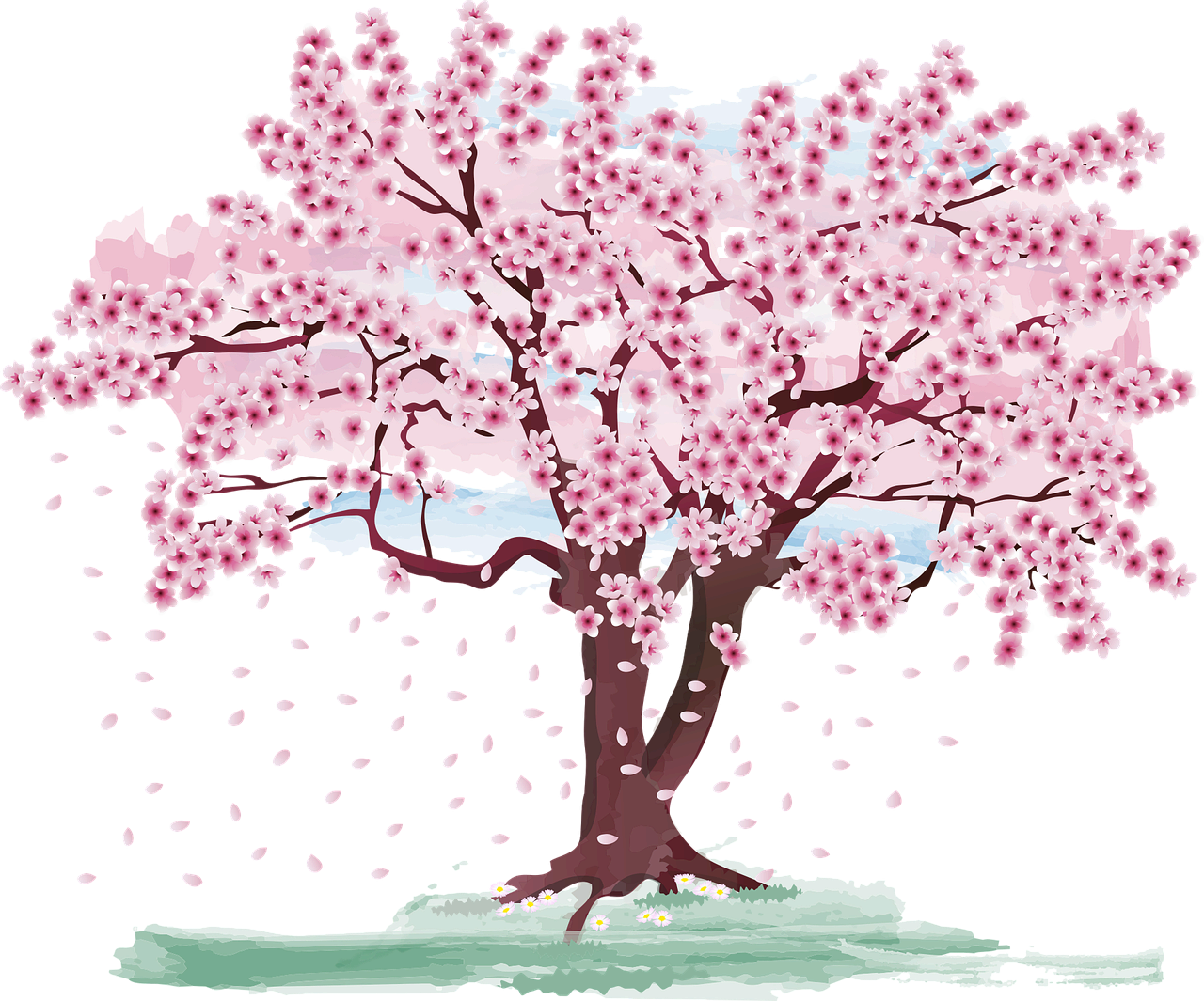 2025년 벚꽃 개화 & 봄꽃 축제 총정리! 언제 어디로 가야 할까?