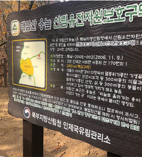 대암산 용늪