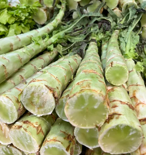 궁채 효능 부작용 나물 고르는법 칼로리