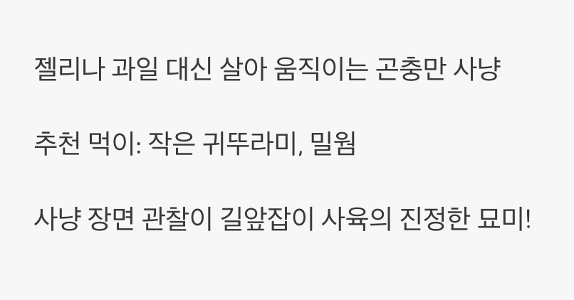 먹이 - '살아있는' 것만 먹는 사냥꾼