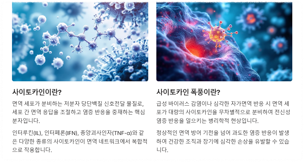 사이토카인 사이토카인 폭풍