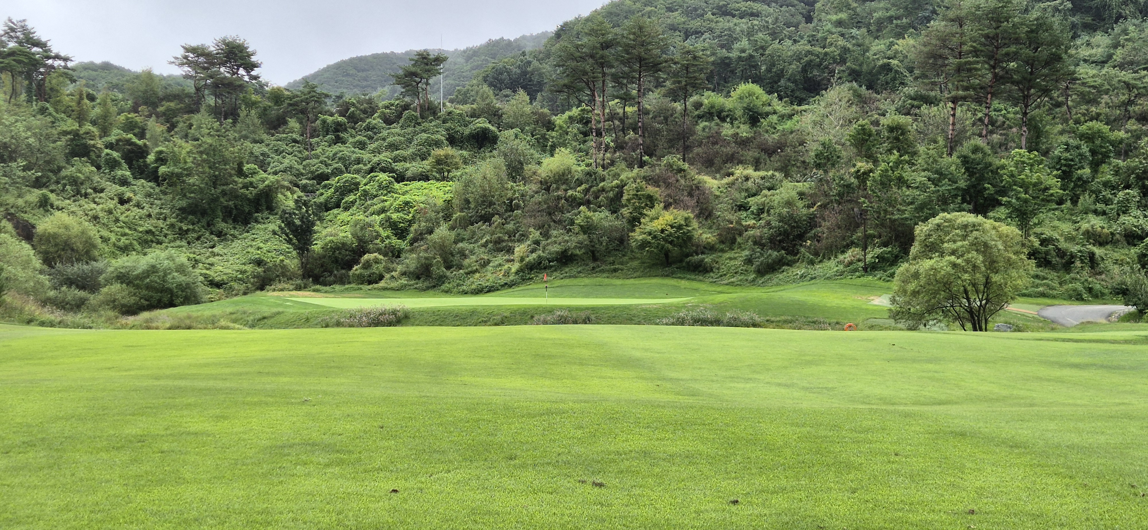 더플레이어스cc