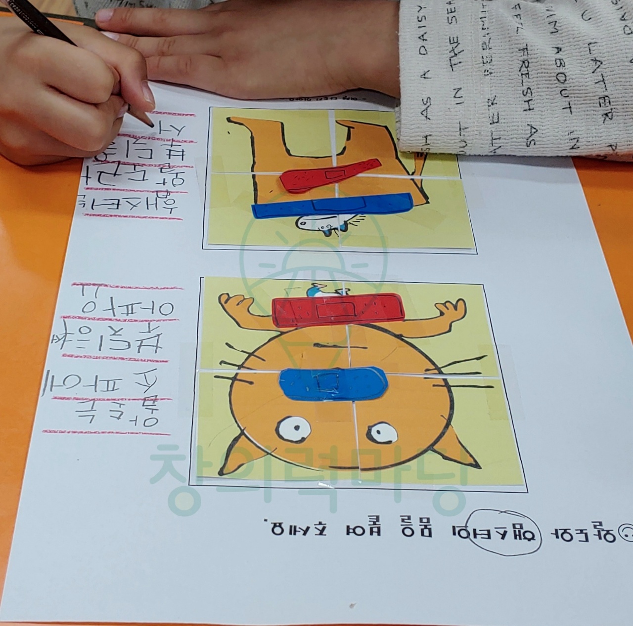 한국어교원자격증