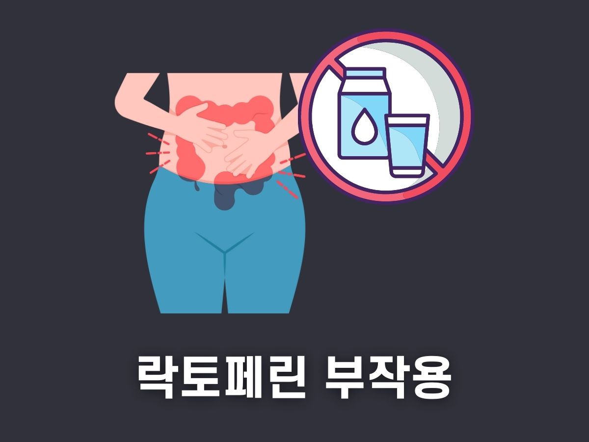락토페린 부작용