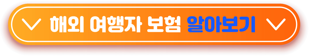 해외 여행자 보험 알아보기