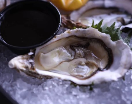 겨울 제철 해산물 굴 추천 굴 효능 활용법