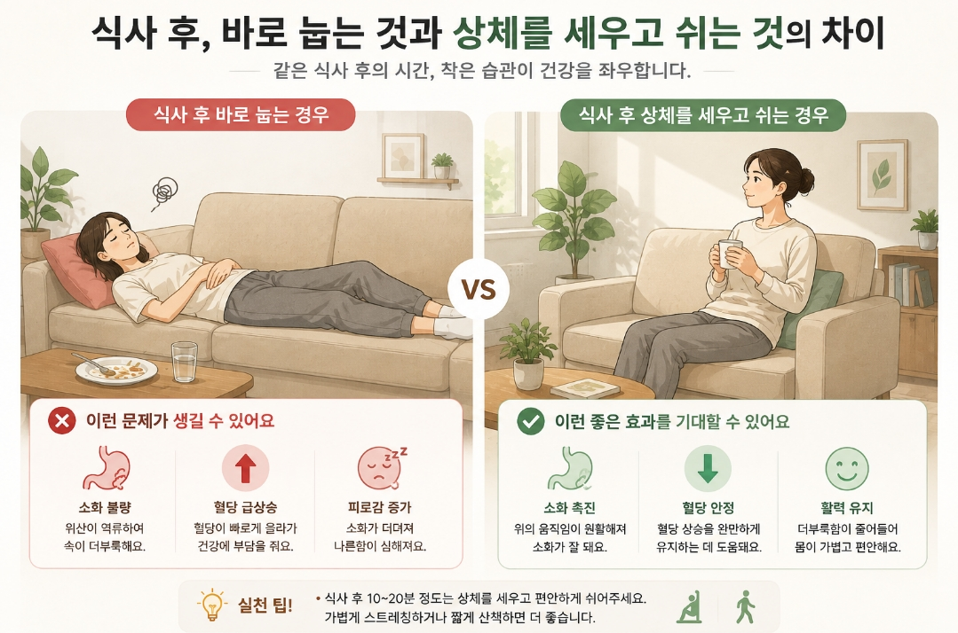 식사 후 작은 습관, 식후 바로 눕기, 식후 앉아있기