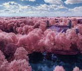 ESTJ 유형 특징 분석