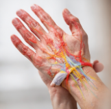 손목터널증후군: 현대인을 위한 필수 손목 건강 관리