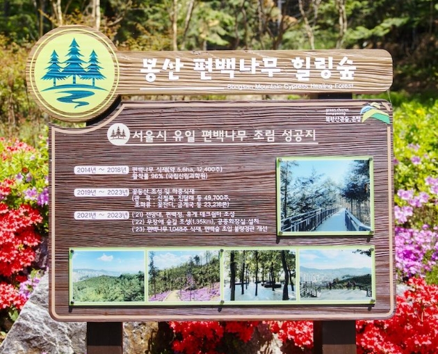 은평구 봉산 무장애숲길