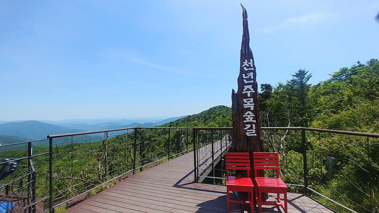 평창 가볼만한곳 베스트10