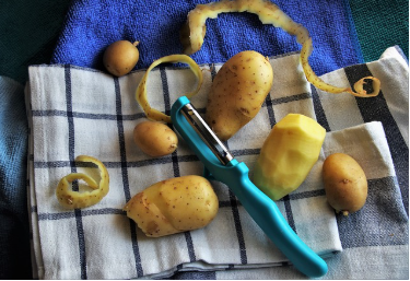 practical experience