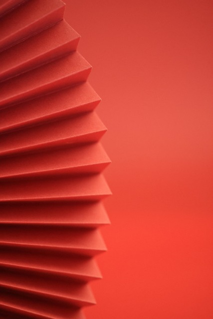 브라질의 무당들이 주목한 한국 무속의 구조