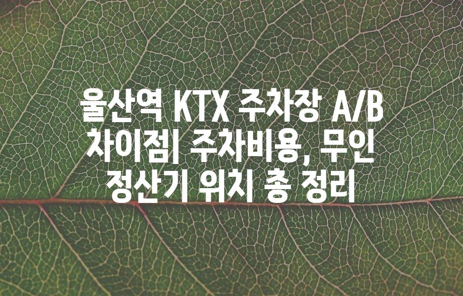 샘플 (43)