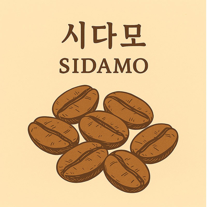 AI가 만들어준 시다모 원두