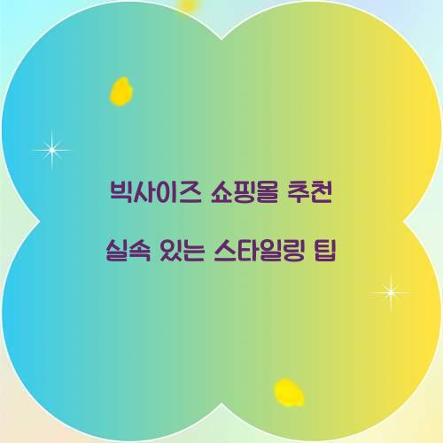 빅사이즈 쇼핑몰 추천