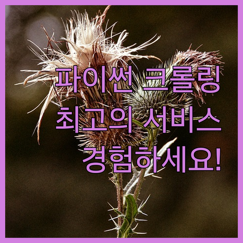 파이썬 크롤링 전문가가 제공하는 최고