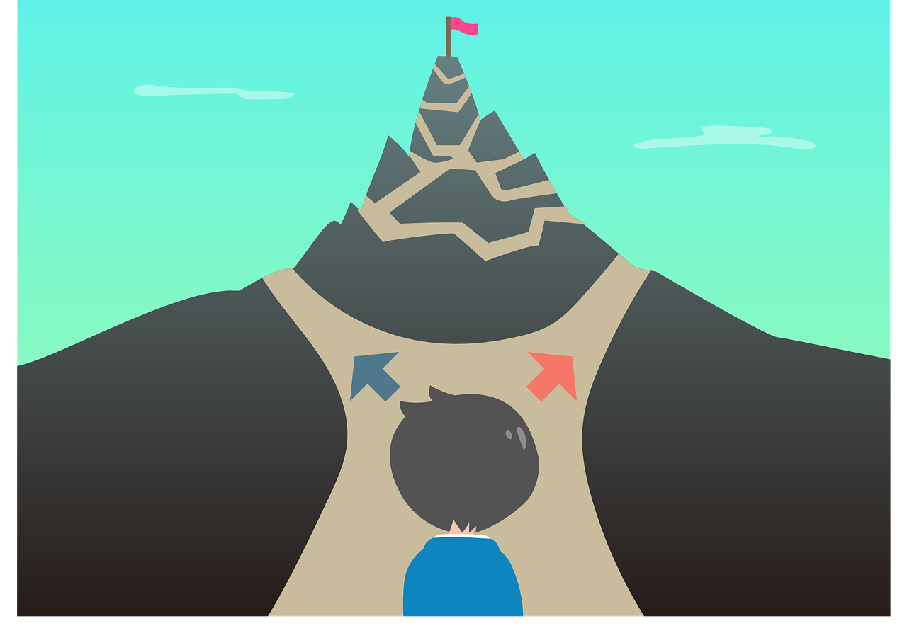 진로 변경 갈림길에 관한 이미지