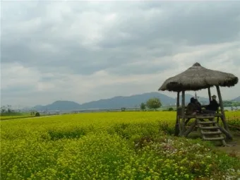 DSLR 카메라 꽃 촬영 접사 거리 합초 요령_13