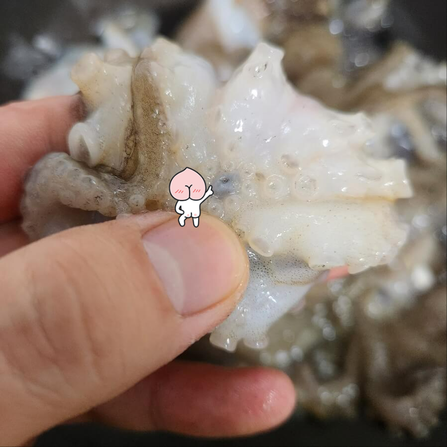 주꾸미 주꾸미 샤브샤브 냉동쭈꾸미 손질 주꾸미 알 주꾸미볶음 양념 주꾸미 데치기 쭈꾸미 머리 손질 1분 요리 팁 | 주꾸미 손질법 주꾸미 손질법 주꾸미 손질하는 방법 주꾸미 손질 주꾸미 손질방법 주꾸미 손질하는 법 냉동 주꾸미 손질 주꾸미 알 손질법 주꾸미 부드럽게 손질하는법 생물 주꾸미 손질법 주꾸미 샤브샤브 손질법 생 주꾸미 손질법 산 주꾸미 손질법 활 주꾸미 손질 살아있는 주꾸미 손질법