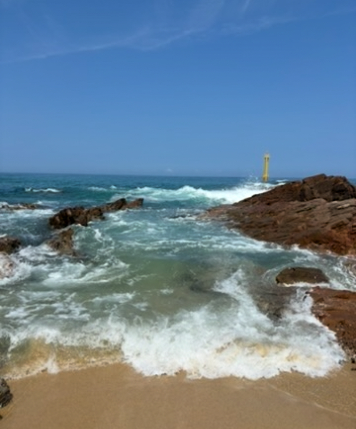 정동진 당일치기 기차여행 / 일정 공유 / 맛집 추천 / 타임라인