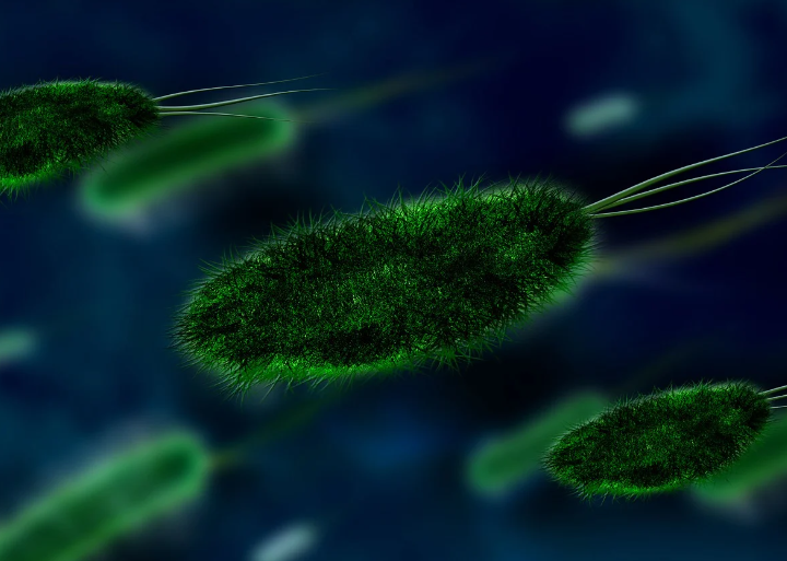 겨울철 노로바이러스