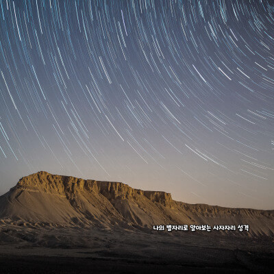 나의 별자리로 알아보는 사자자리 성격